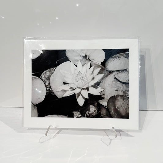 “Dark Waters” by Michelle Smith