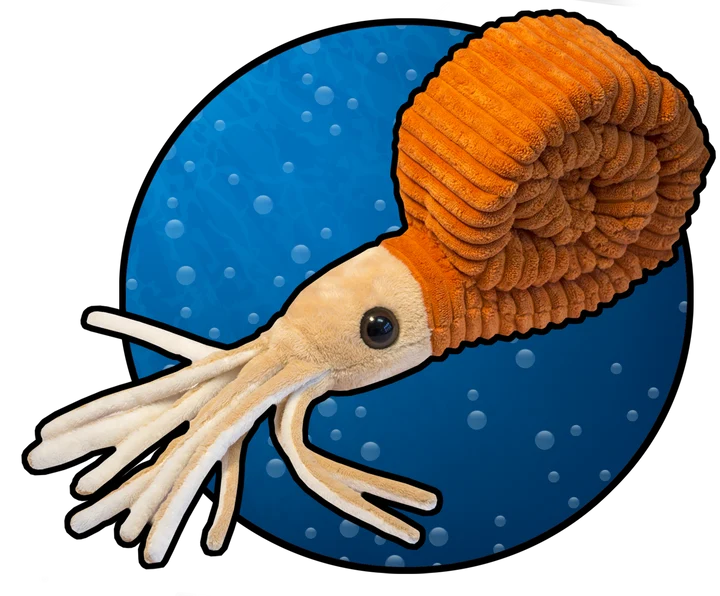 Ammonoid Plush