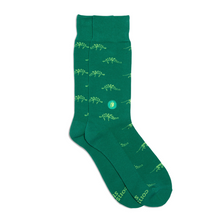 Load image into Gallery viewer, Socks that Give Books
