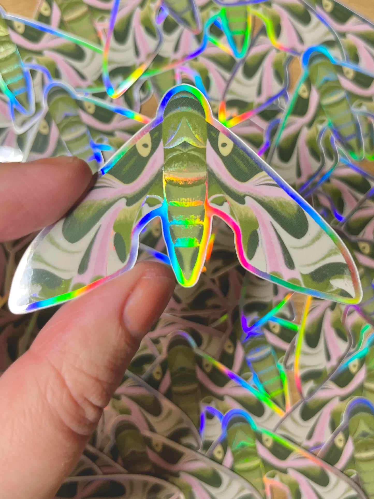 Pandora Sphinx Moth Sticker