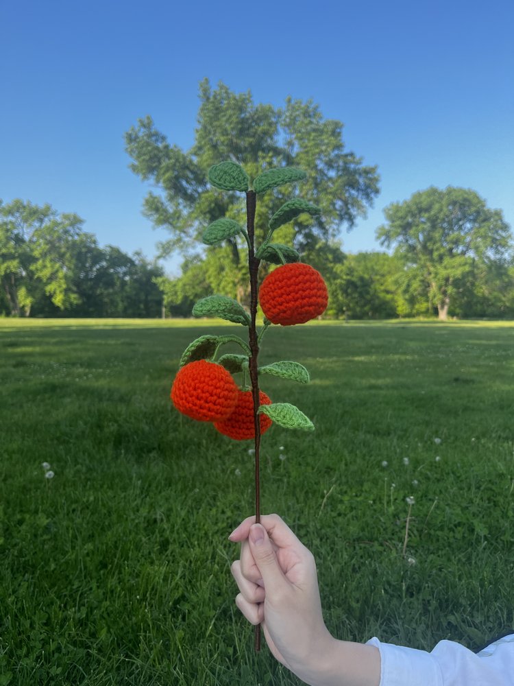 Crochet Tangerine Branch