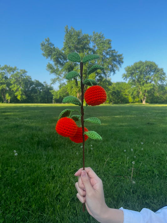 Crochet Tangerine Branch