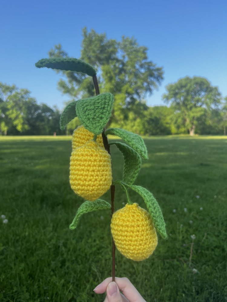 Crochet Lemon Branch