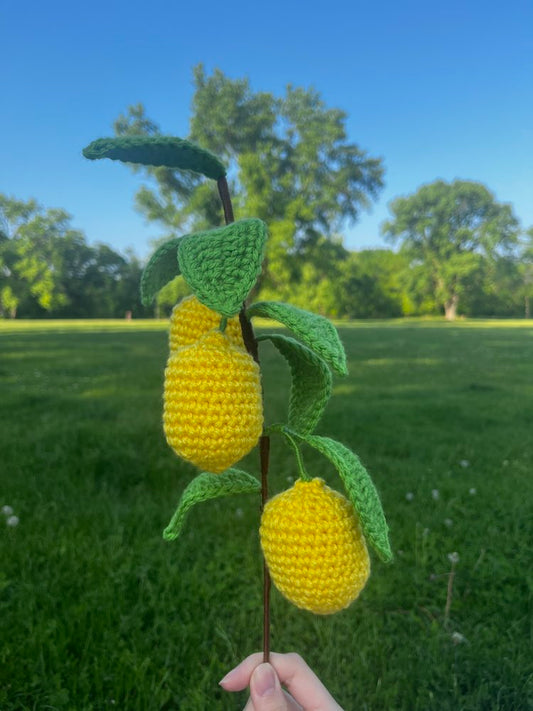 Crochet Lemon Branch