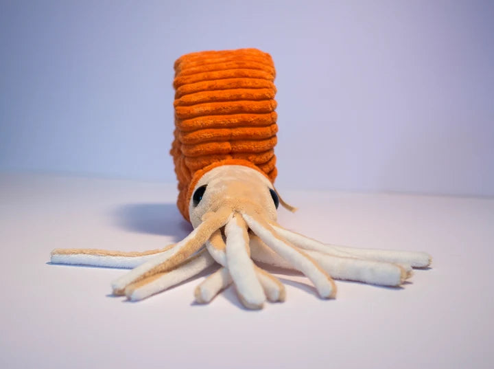 Ammonoid Plush