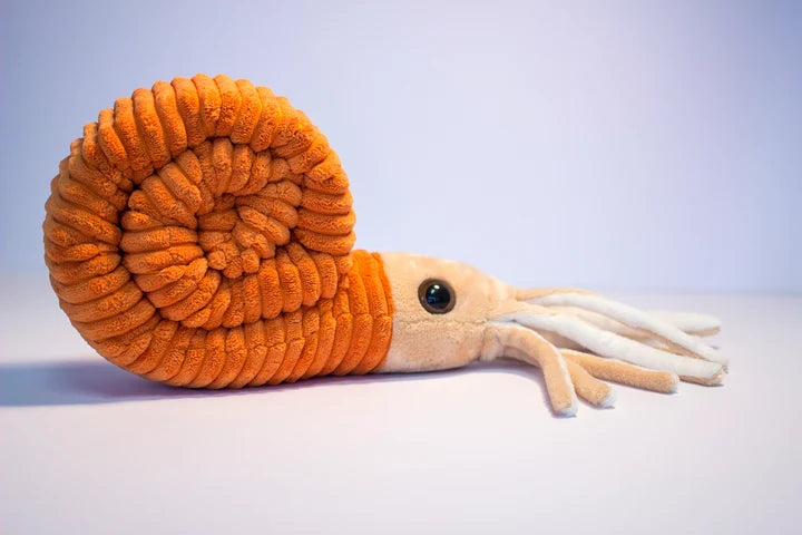 Ammonoid Plush
