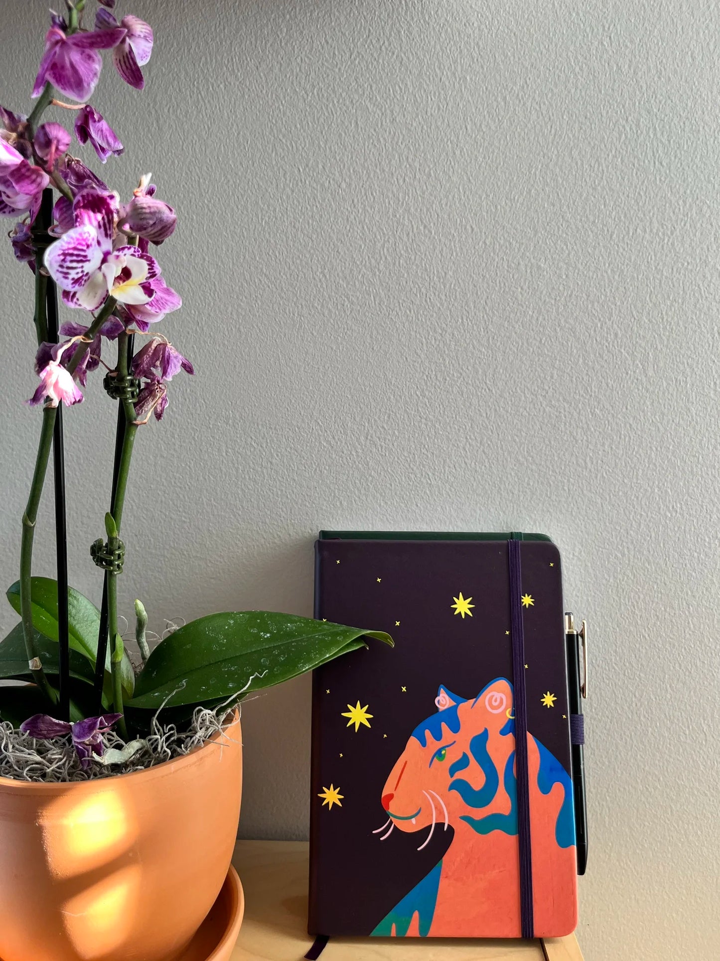 Tiger Journal