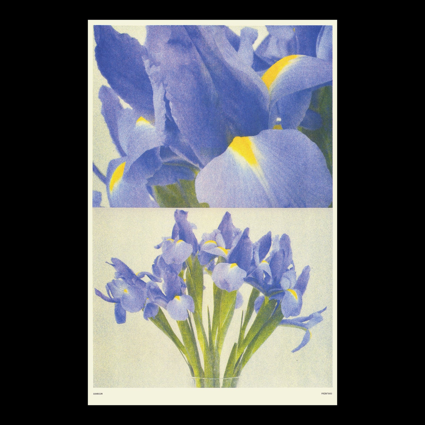 "Iris" Print by Sunroom