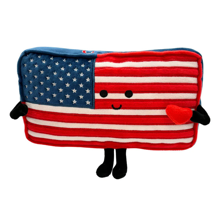 American Flag Pillow