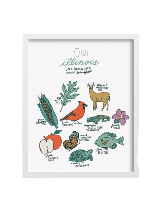 Illinois State Symbols Print