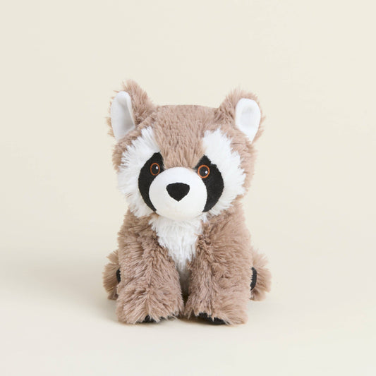 Raccoon Warmies - Junior