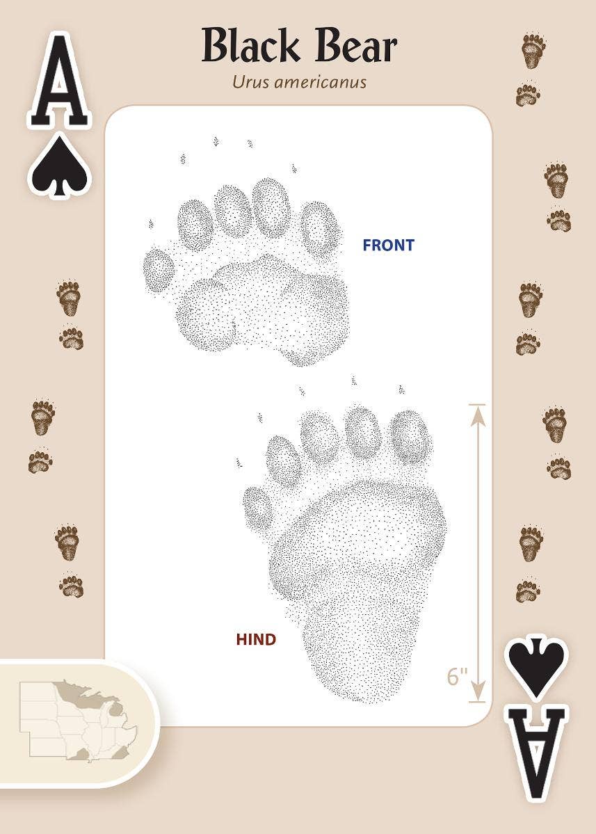 Animal Tracks of Midwest Playing Cards