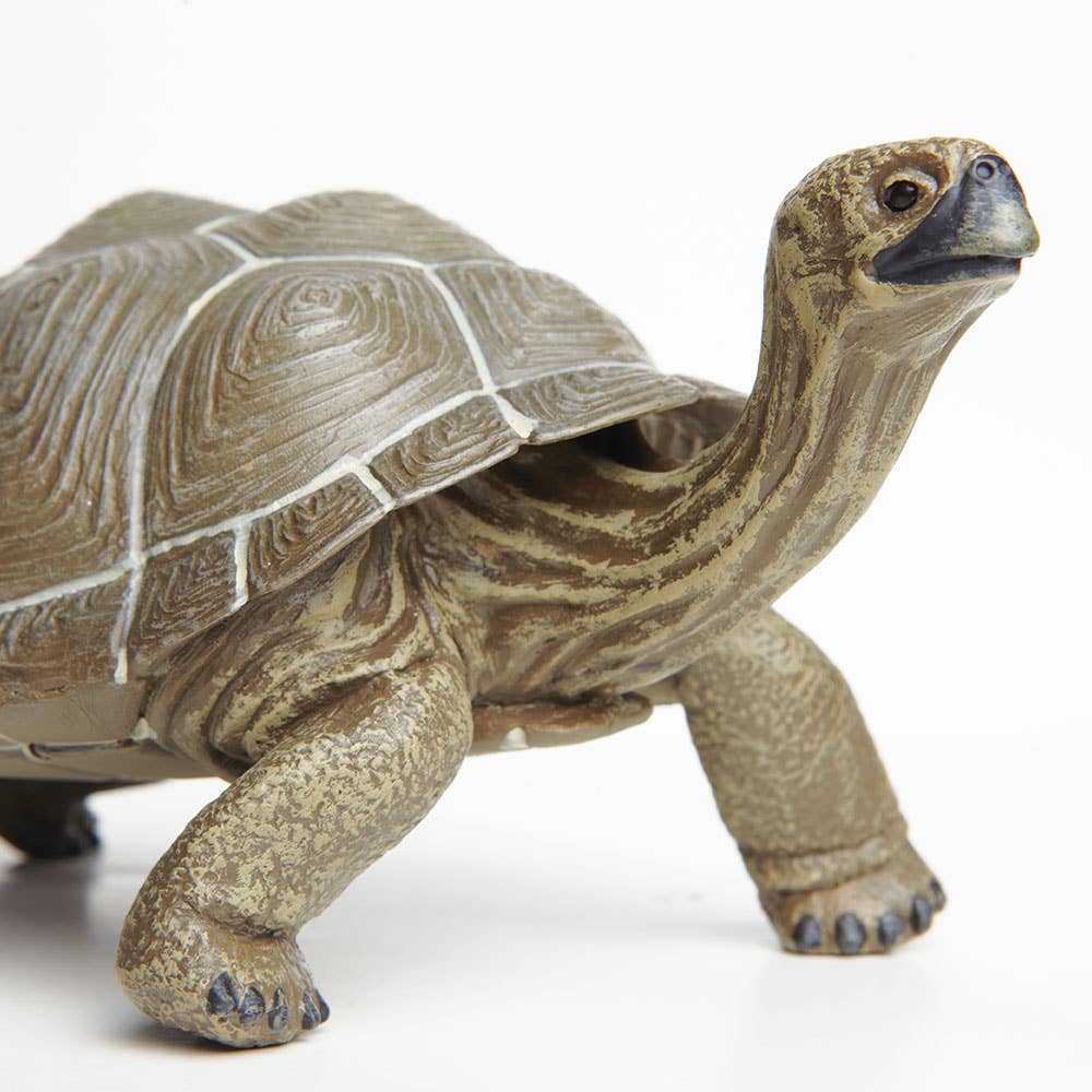 Tortoise Figure