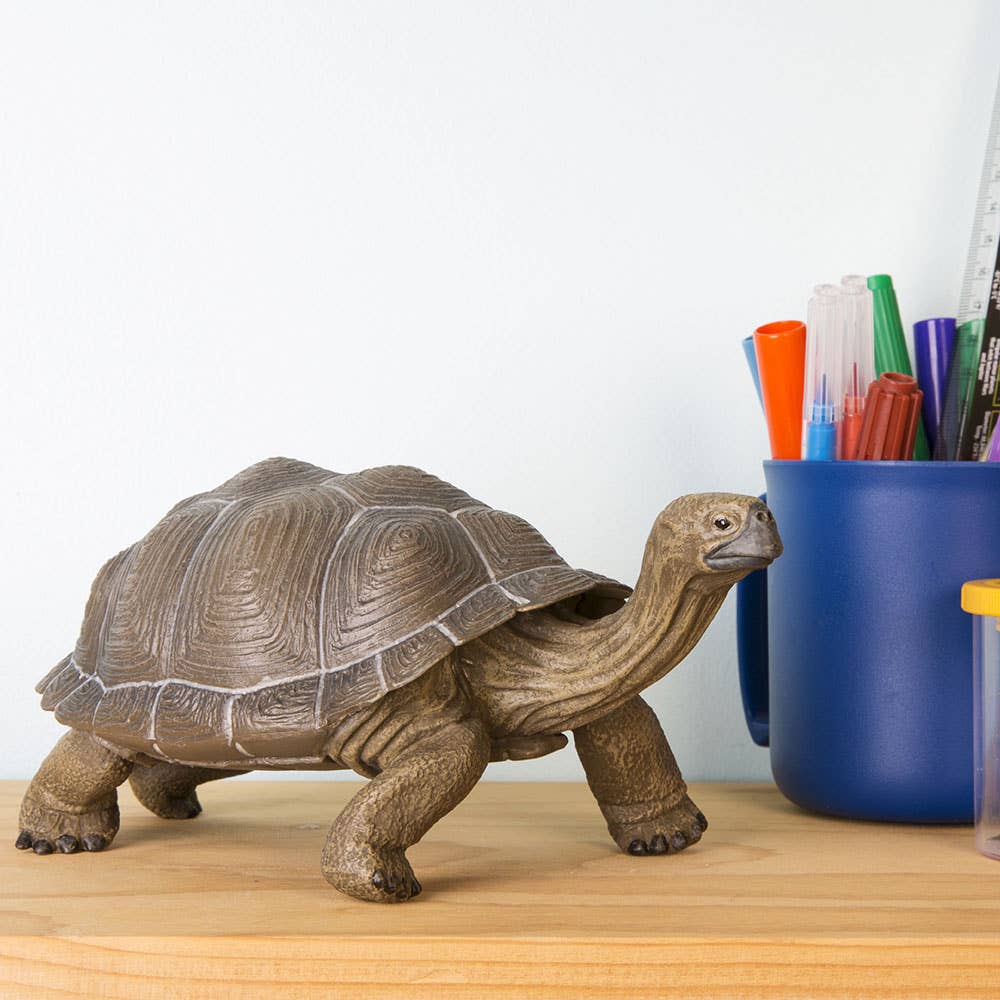 Tortoise Figure