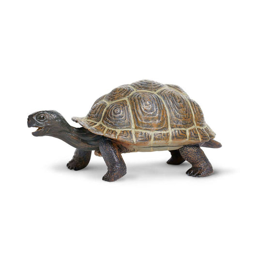 Tortoise Baby Figure