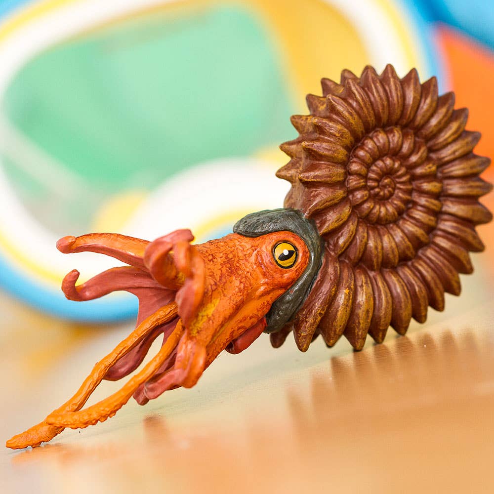 Ammonite Figure