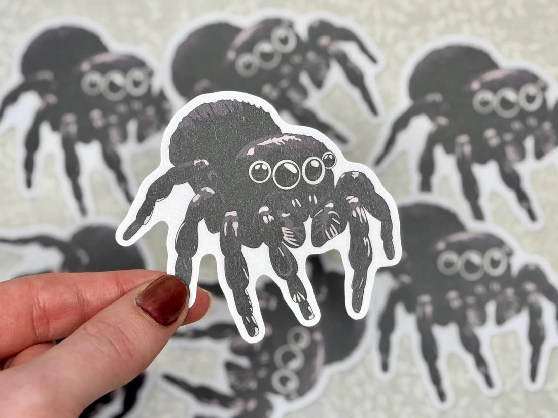 Black spider sticker held by a hand.