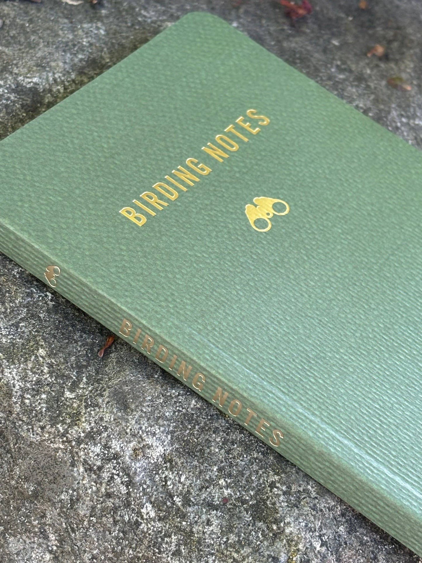 Birding Notes - Notebook