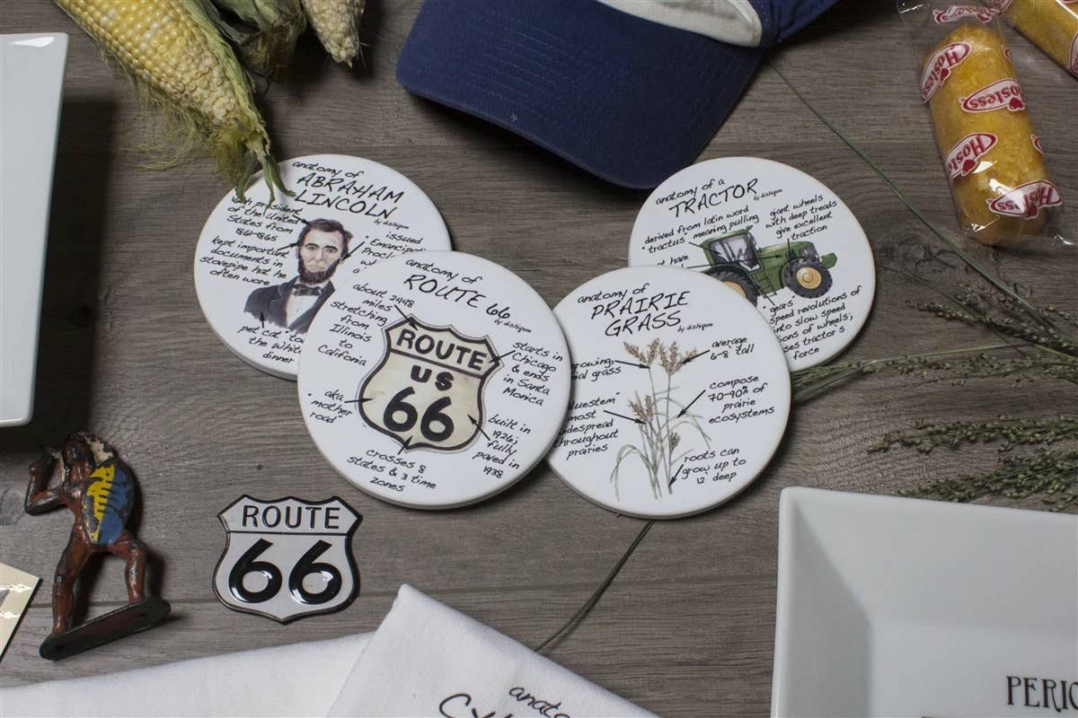 Illinois Anatomy Coasters