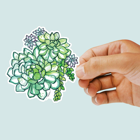 Succulent Vinyl Decal Sticker