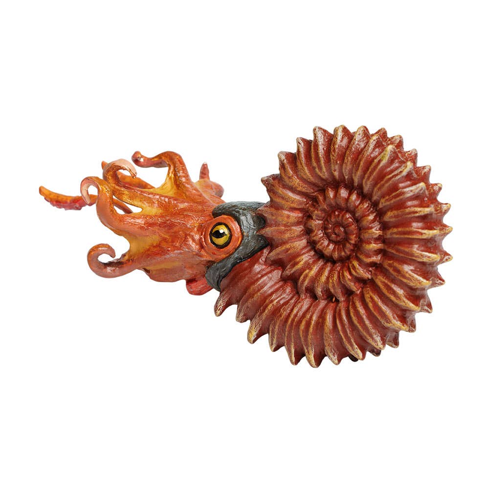 Ammonite Figure