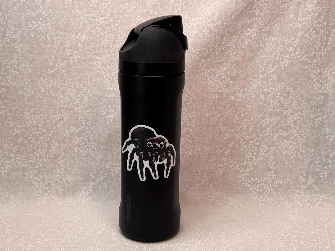 Black spider sticker on a black water bottle on a light background.