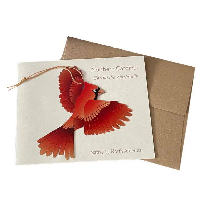 Cardinal Ornament + Notecard