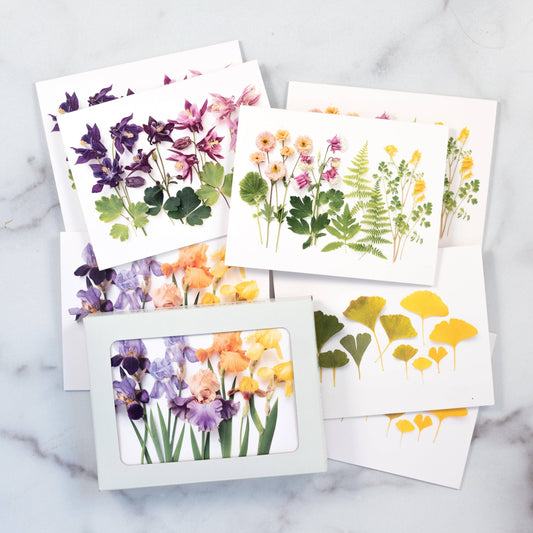 Notecard Set - Vibrant Ombres