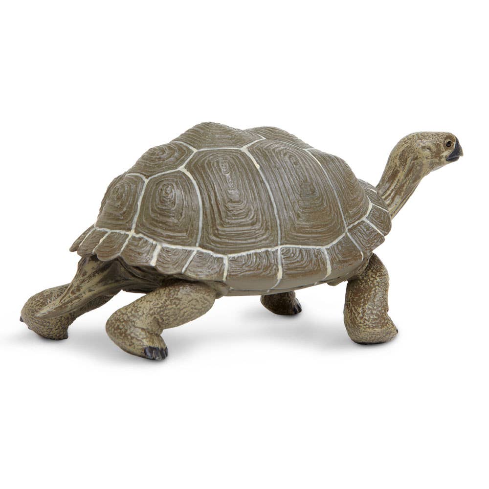 Tortoise Figure