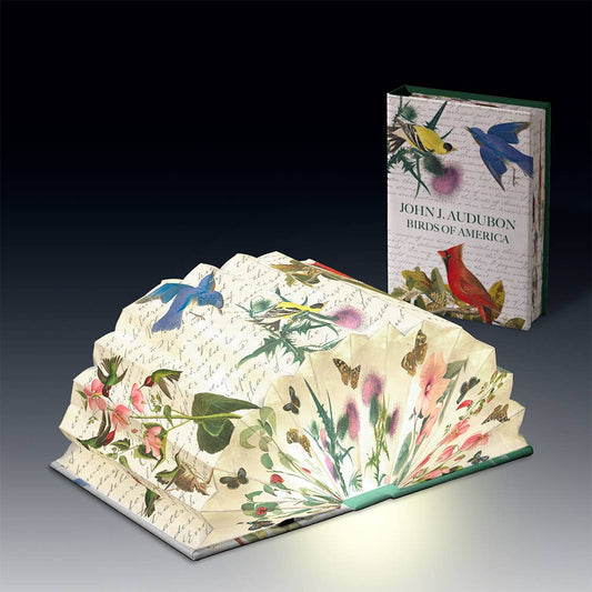 Modgy Light Book - Birds of America