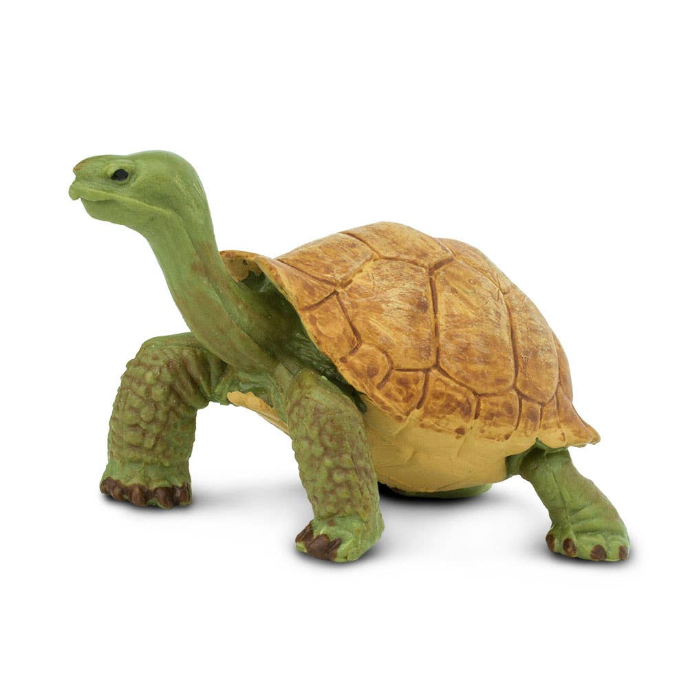 Giant Tortoise Figure