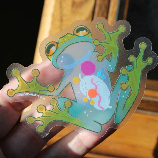 Glass Frog Transparent Sticker