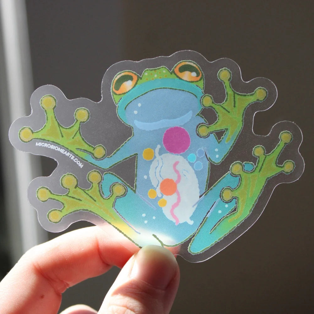 Glass Frog Transparent Sticker