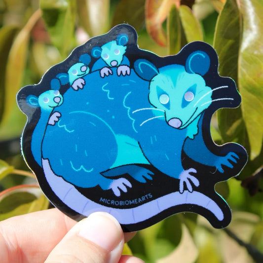Nighttime Oppossum Holo Sticker