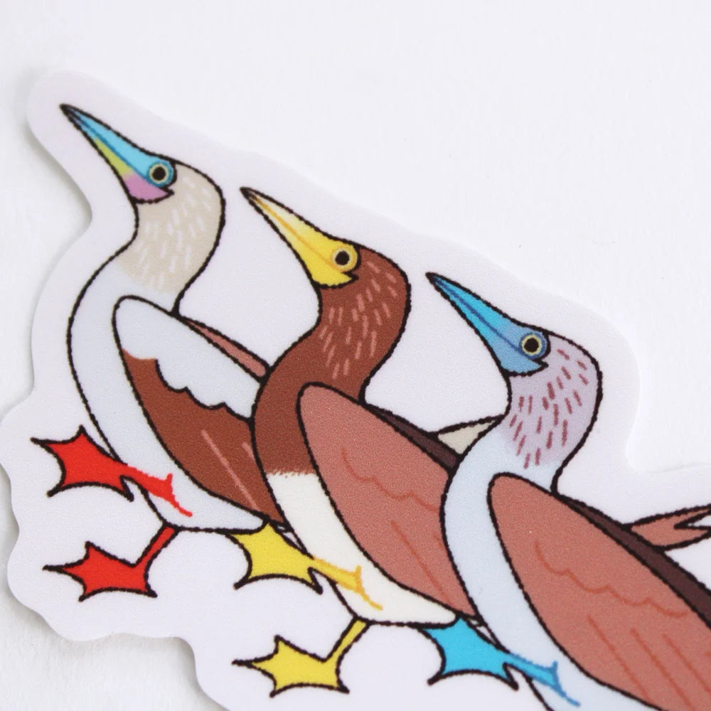 Boobies Bird Sticker