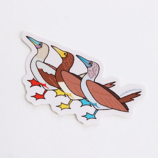 Boobies Bird Sticker