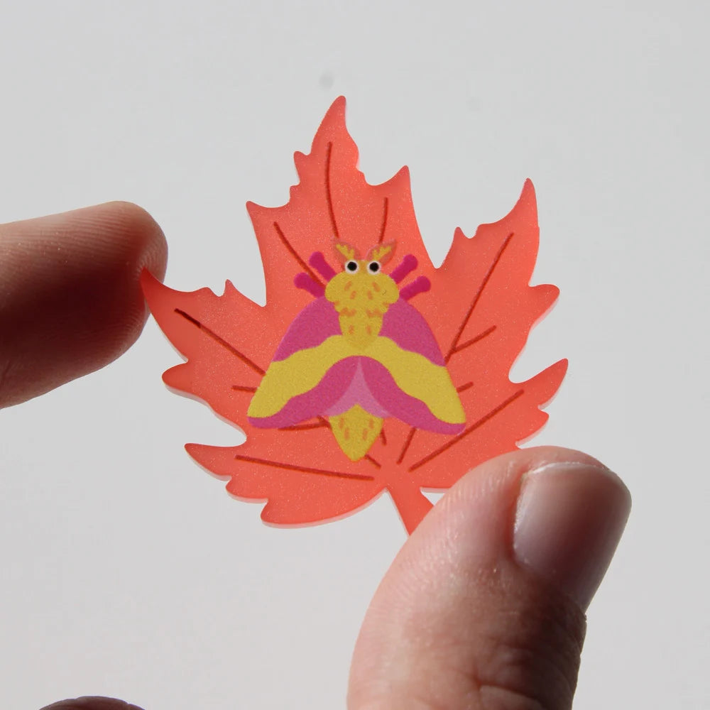 Rosy Maple Moth Acrylic Pin