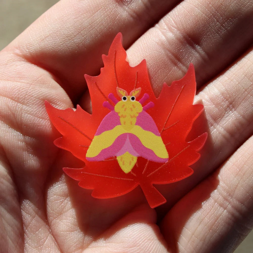 Rosy Maple Moth Acrylic Pin