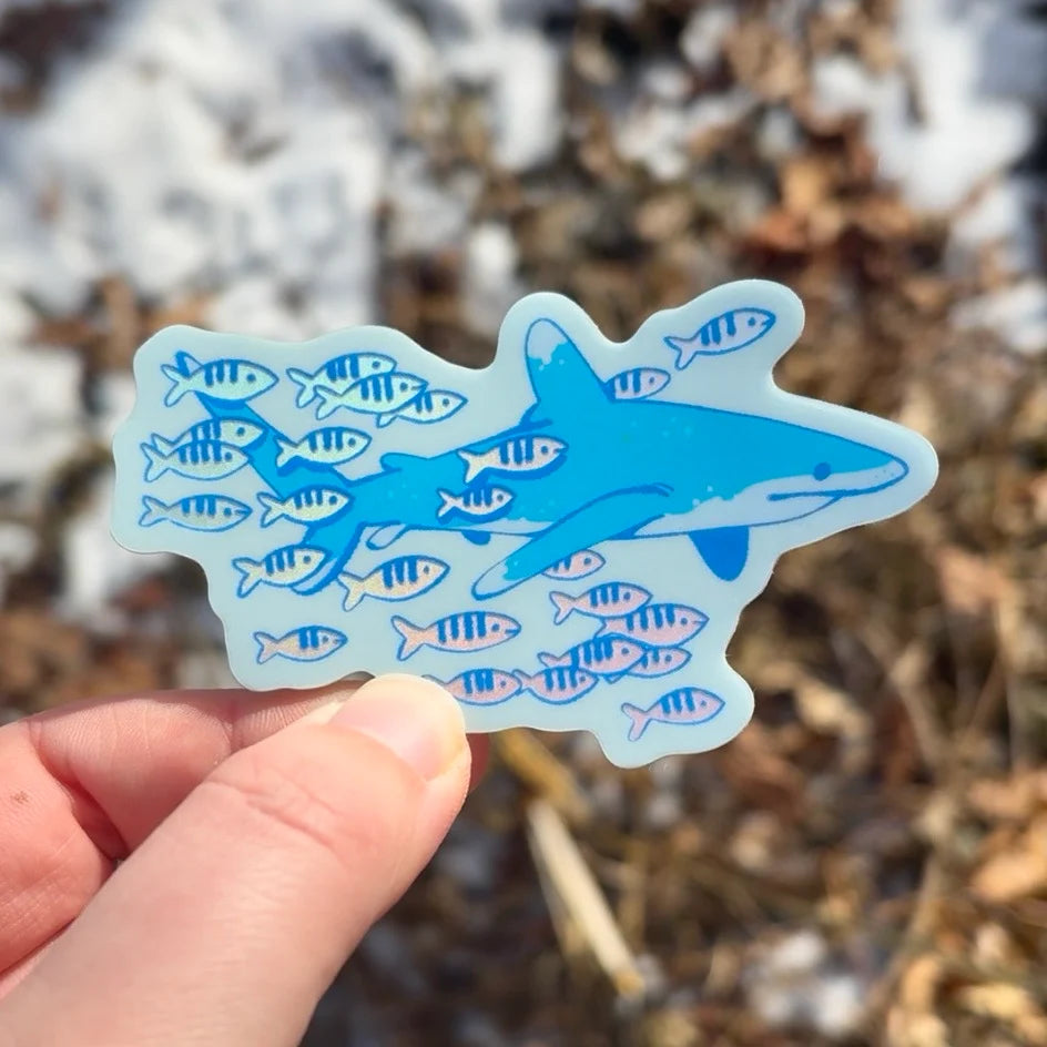 Whitetip Shark Sticker