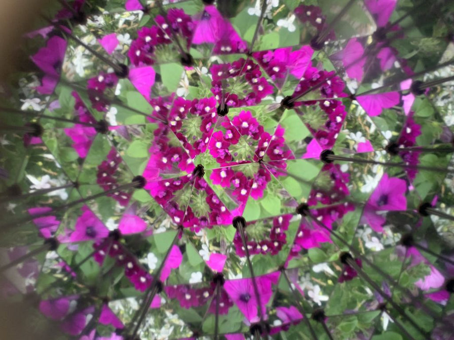 Photo of a sample image, using the Huckleberry Kaleidoscope.