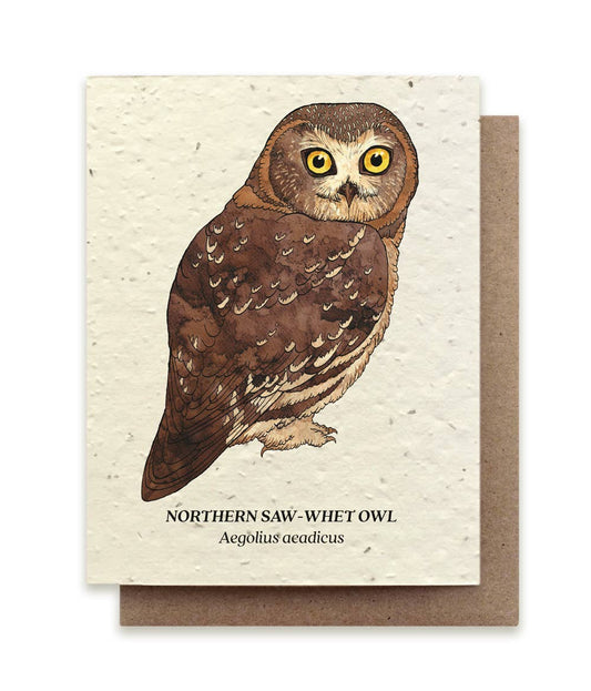 Plantable Wildflower Seed Note Card - Northern Saw-Whet Owl