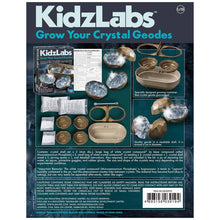 Load image into Gallery viewer, Image of the back of the Crystal Geode Growing Kit, showing the materials included.
