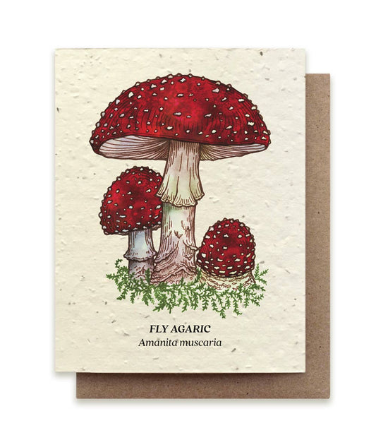 Plantable Wildflower Seed Note Card - Fly Agaric Mushroom