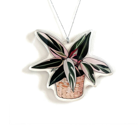 Tricolor Houseplant Christmas Ornament