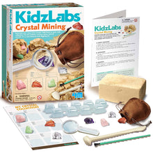 Load image into Gallery viewer, Image showing the materials included in the Crystal Mining Kit.
