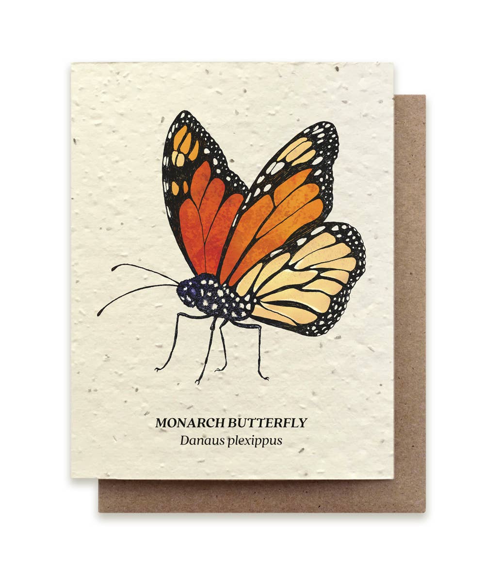 Plantable Wildflower Seed Note Card - Monarch Butterfly