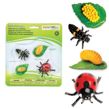 Load image into Gallery viewer, Image of “Life Cycle of a Ladybug” in its retail packaging, next to the figures included in the set.
