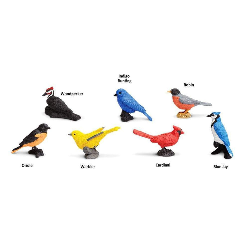 Image of the figures included in the “Backyard Birds” TOOB, on a white background.
