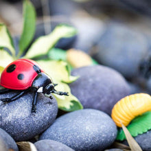 Load image into Gallery viewer, Image of the ladybug from the “Life Cycle of a Ladybug” set, siting on a rock.
