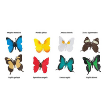 Load image into Gallery viewer, Image of the figures included in the “Butterflies” TOOB, with names for each figure.

